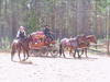 120-2064_IMG.JPG