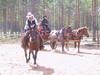 120-2065_IMG.JPG
