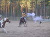 166-6644_IMG.JPG