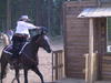 167-6749_IMG.JPG