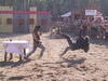 167-6782_IMG.JPG