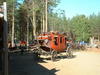 t7CF0003.jpg