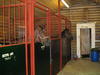 cws_2004_minna_jp_004.jpg