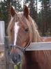 Issikkavaellus_2006_185.jpg